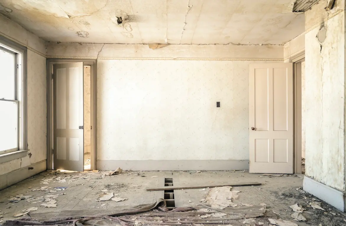 Waste disposal crew managing a cleanout project in Steilacoom